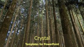  Presentation with recreation - 