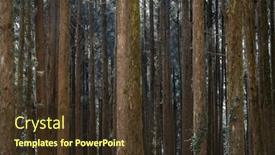  Presentation with recreation - 