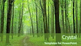  Presentation with mountains forests green forest - PPT layouts featuring green forest background in sunny background and a tawny brown colored foreground