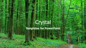  Presentation with forest - Slide deck featuring green forest background in sunny background and a  colored foreground