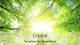  Presentation with mountains forests green forest - Presentation design with green forest background background and a blonde colored foreground