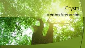  Presentation with divine - Colorful slide deck enhanced with green forest background backdrop and a yellow colored foreground