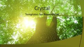  Presentation with divine - PPT theme consisting of green forest background background and a yellow colored foreground