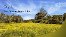  Presentation with israel - Slide set featuring green-forest-ben-shemen background and a light blue colored foreground