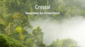  Presentation with green forest morning - Audience pleasing presentation theme consisting of green forest in misty morning backdrop and a violet colored foreground