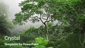  Presentation with green forest morning - Theme having green forest in misty morning background and a tawny brown colored foreground