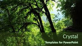  Presentation with everest - Slides having green-forest-in-nepal-himalayas background and a tawny brown colored foreground