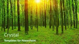  Presentation with sun - Presentation theme enhanced with green-forest-in-spring background and a tawny brown colored foreground