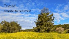  Presentation with israel - Presentation design with green-forest-in-the-center background and a  colored foreground