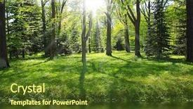  Presentation with river forest - Beautiful presentation featuring green forest near river backdrop and a tawny brown colored foreground