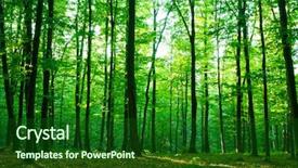  Presentation with sunlight - Colorful slides enhanced with green forest spring time backdrop and a forest green colored foreground