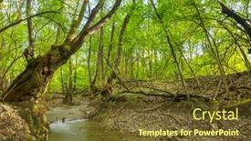  Presentation with season - Presentation consisting of green-forest-with-dense-vegetation background and a tawny brown colored foreground