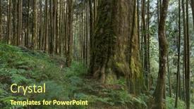  Presentation with woods - PPT layouts with green-forest-with-natural-woods background and a tawny brown colored foreground
