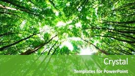  Presentation with forest - Amazing slide set having green forest backdrop and a shamrock green colored foreground
