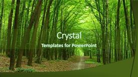  Presentation with pathway - Colorful presentation design enhanced with green forest backdrop and a tawny brown colored foreground