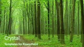 Presentation with woodland - Amazing slides having green forest backdrop and a tawny brown colored foreground