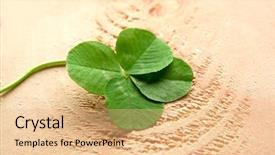  Presentation with four leaf clover - Colorful slide set enhanced with green four-leaf clover backdrop and a coral colored foreground