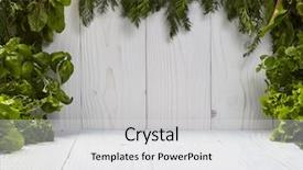  Presentation with earth science green and white - Cool new PPT theme with green frame on white boards backdrop and a white colored foreground