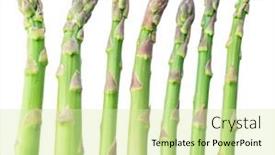  Presentation with white green - Cool new theme with green-fresh-asparagus-sprouts-isolated backdrop and a soft green colored foreground