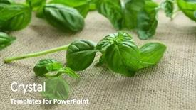  Presentation with green - PPT theme with green fresh basil on sackcloth background and a  colored foreground
