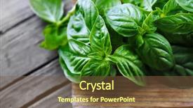  Presentation with pistachio texture nuts green fresh - Colorful slide deck enhanced with green fresh basil on wooden backdrop and a tawny brown colored foreground