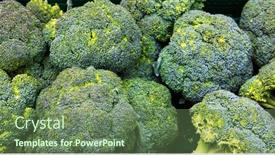  Presentation with fresh green broccoli - Colorful PPT theme enhanced with green-fresh-broccoli-vegetables backdrop and a ocean colored foreground