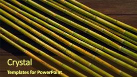  Presentation with green agriculture farm - PPT theme with green fresh for agriculture purpose background and a tawny brown colored foreground