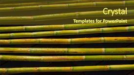  Presentation with agriculture - Colorful slide set enhanced with green fresh for agriculture purpose backdrop and a tawny brown colored foreground