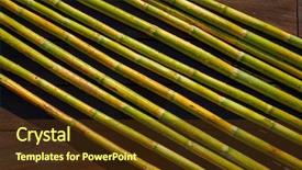  Presentation with green agriculture farm - Audience pleasing theme consisting of green fresh for agriculture purpose backdrop and a tawny brown colored foreground