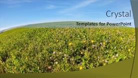  Presentation with green hills - Presentation design with green-fresh-grass-and-wildflowers background and a light blue colored foreground