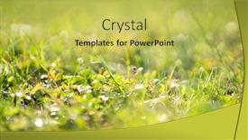  Presentation with green gram - Beautiful PPT theme featuring green-fresh-grass-with-selective backdrop and a yellow colored foreground