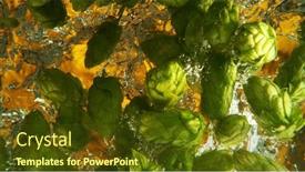  Presentation with fresh water - Slide deck featuring green-fresh-hop-cones background and a tawny brown colored foreground