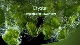  Presentation with fresh water - Presentation theme enhanced with green-fresh-hop-cones background and a tawny brown colored foreground