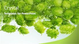  Presentation with fresh water - PPT layouts with green-fresh-hop-cones and a tawny brown colored foreground