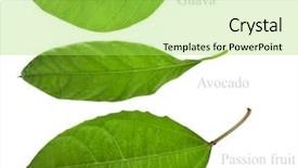  Presentation with green leaves - Beautiful presentation theme featuring green fresh leaves of fruit backdrop and a yellow colored foreground