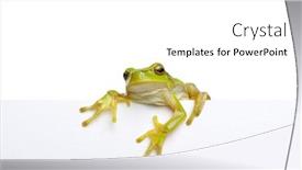  Presentation with text message - Audience pleasing slide deck consisting of green-frog-showing-signboard backdrop and a white colored foreground