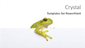  Presentation with slogan - Slide set featuring green-frog-showing-signboard background and a white colored foreground