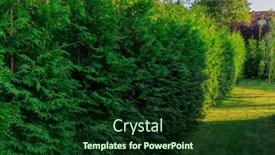  Presentation with garden - Theme having green-garden-with-a-hedge and a forest green colored foreground