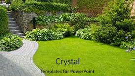  Presentation with growing - Colorful PPT theme enhanced with child arm with gauze bandage backdrop and a gray colored foreground