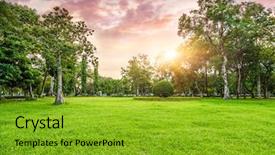  Presentation with nature sun trees - Amazing theme having green gardens - grassland and trees in sunset backdrop and a gold colored foreground