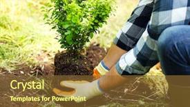  Presentation with tree planting - Audience pleasing slides consisting of green gardens - man planting tree in garden backdrop and a tawny brown colored foreground