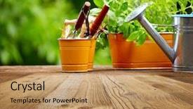  Presentation with wood tools - Colorful presentation enhanced with green gardens - outdoor gardening tools on old backdrop and a coral colored foreground