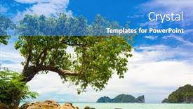  Presentation with green - Presentation enhanced with green-getaway-branches-overhanging background and a teal colored foreground