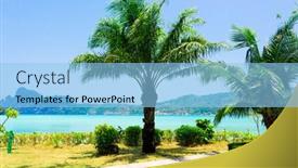  Presentation with green coconut - 