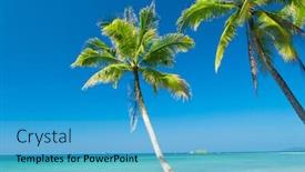  Presentation with green relaxation - Cool new presentation theme with green getaway relaxation in peace backdrop and a teal colored foreground