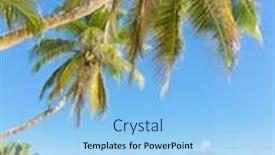  Presentation with green relaxation - Theme having green getaway relaxation in peace background and a light blue colored foreground