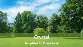 Presentation with green trees in park - Cool new slide set with green glade covered with grass backdrop and a tawny brown colored foreground
