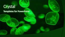  Presentation with jellyfish - Colorful presentation theme enhanced with green glowing jellyfish aurelia aurita backdrop and a forest green colored foreground