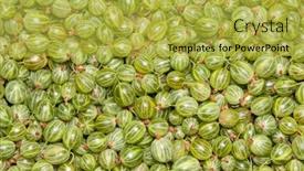  Presentation with gooseberry - Cool new theme with green gooseberry background backdrop and a yellow colored foreground