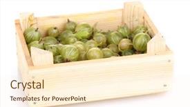  Presentation with gooseberry - Slide set featuring green gooseberry in crate isolated on white background and a cream colored foreground
